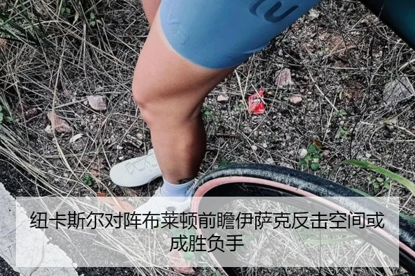 纽卡斯尔对阵布莱顿前瞻伊萨克反击空间或成胜负手